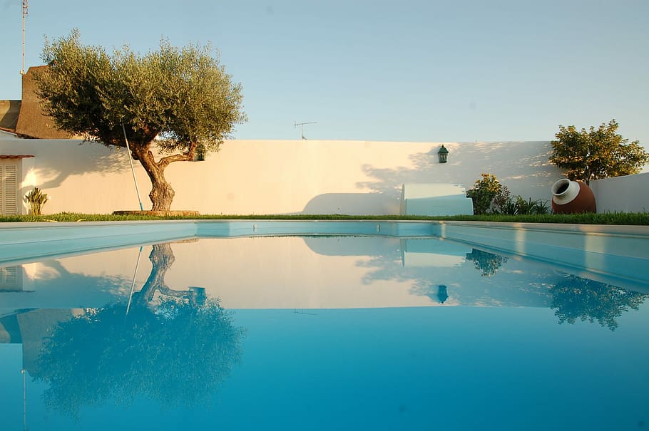 træ, svømning, pool, svømmepøl, vand, afspejling, oliven, sommer, solrig, himmel, lys, Portugal, hvid, væg, dag, udendørs, alentejo, hus, plante, natur, ingen mennesker, blå, havnefronten, arkitektur, skønhed i naturen, skyfri himmel, rolig scene, ro, bygget struktur, luksus, 2K