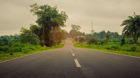 strada, verde, cielo, albero, nero bianco, verde, cielo, nero, bianca, ovest, Bengala, luce, pulito, modo, direzione, autostrada, sentiero, Avviso, dom, rurale, la strada davanti, mezzi di trasporto, giorno, pianta, natura, cartello, simbolo, segnaletica stradale, colore verde, marcatura, nessuno, la tranquillità, prospettiva decrescente, scena tranquilla, bellezza nella natura, scena non urbana, all'aperto, linea di divisione, 5K, CC0, dominio pubblico, privo di copyright