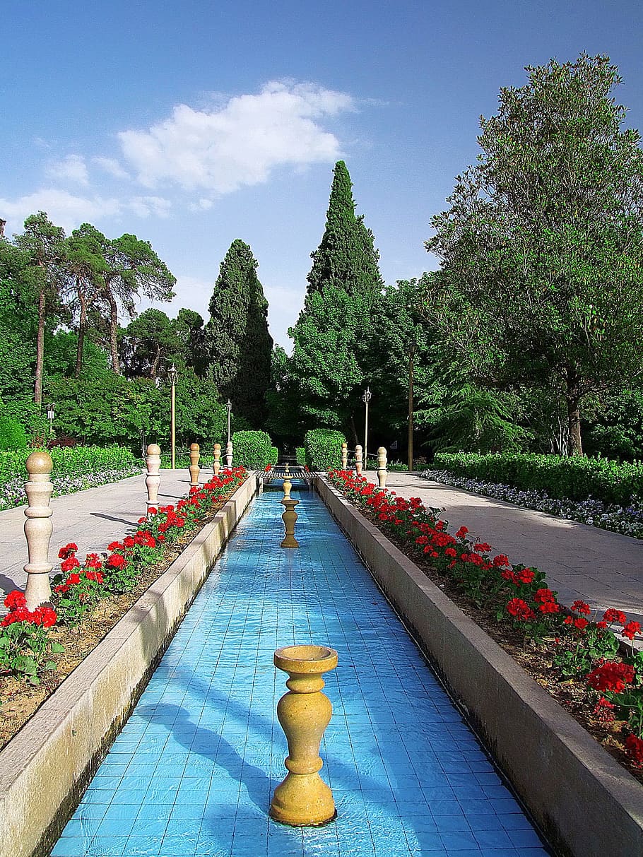 estiu, arbre, bonic, tehran, estiu, arbre, piscina, Font, aigua, pati, a l'aire lliure, planta, creixement, naturalesa, cel, jardí, parc, planta amb flors, flor, dia, parc - l'home va fer espai, cap gent, bellesa a la natura, jardí formal, arquitectura, núvol - cel, color verd, sendera, camí de jardí, cobertura, jardí ornamental, llit de flors, 1080P