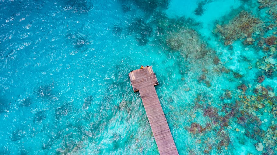 ocell, fotografia d'ulls, moll de l'oceà, vista d'ulls, marró, moll, embarcador, drone, aèria, blau, escull, oceà, aigua, mar, Amèrica, indi, bali, increïble, terra, persona, naturalesa, cap gent, color turquesa, dia, vista d’angle alt, piscina, a l'aire lliure, escombra, material de fusta, sòls, bellesa a la natura, directament a sobre, llum solar, davant del mar, neteja, netejar, 5K