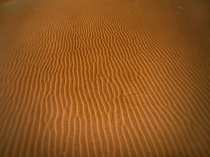 woestijn, droog, duin, duinen, heet, zand, zanderig, wind op zand, zandduin, natuur, patroon, achtergronden, getextureerde, land-, natuurlijk patroon, volledig kader, klimaat, golfpatroon, scenics - natuur, landschap, geen mensen, droog klimaat, kalmte, golfde, schoonheid in de natuur, bruin, 4K, CC0, publiek domein, royaltyvrij