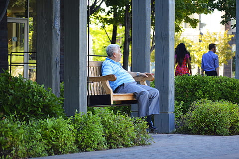 mand, sidder, Brun, bænk, midaldrende, ældre, gammel, midaldrende mand, han-, slapper af, fritid, ser, hvile, pensionering, alene, ensom, person, parkere, ensomhed, sorg, trist, depression, deprimeret, tænker, voksen, hispanic, latino, eftertænksom, leder, tankevækkende, senior voksen, herrer, plante, fritidsaktivitet, sæde, lempelse, fuld længde, livsstil, rigtige mennesker, afslappet tøj, hanner, senior mænd, senior kvinder, dag, natur, tre kvart længde, udendørs, 4K, CC0, offentligt domæne, royaltyfrie