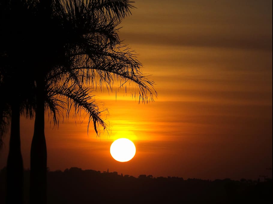 sol, večerní doba, západ slunce, finále, kokosový strom, soumrak, slunce, scén, strom, silueta, klidné scény, nebe, oranžová barva, scenics - příroda, krása v přírodě, klid, rostlina, idylický, Příroda, slunečního světla, nikdo, venku, životní prostředí, mimoměstské scény, žlutá, mrak - nebe, romantické nebe, 4K