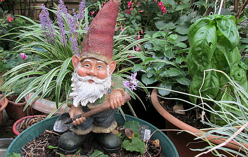 giardino, gnomo, scavando, guardando la fotocamera, pianta, crescita, ritratto, infanzia, bambino, una persona, natura, parte vegetale, vista frontale, foglia, sorridente, rappresentazione, colore verde, cortile anteriore o posteriore, giorno, rappresentazione umana, uomini, all'aperto, innocenza, 4K, CC0, dominio pubblico, privo di copyright