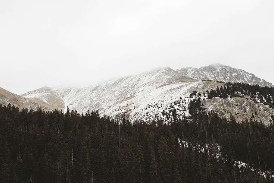 kostel, les, sníh, limitován, hora, zataženo, zelená, borovice, Skála, whcc, strom, mountian, siedow, foto fotografie, colorado, studená teplota, zimní, scenics - příroda, krása v přírodě, rostlina, jehličnatého stromu, přistát, životní prostředí, nebe, klid, borové lesy, klidné scény, nikdo, pinaceae, zasněžené hory, pohoří, venku, horský vrchol, 5K