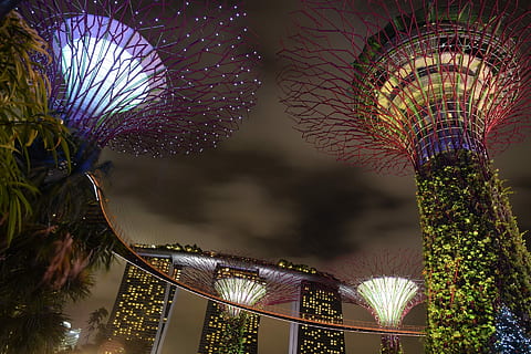 lumières, la nuit, Marina Bay Sands, architecture, nuit, illuminé, endroit célèbre, matériel d'éclairage, des cultures, décoration, Asie, Destinations de voyage, structure construite, paysage urbain, extérieur du bâtiment, ville, arbre, plante, la nature, bâtiment, personne, moderne, extérieur d'immeuble de bureaux, fête, culture artistique et divertissement, en plein air, un événement, gratte ciel, ciel, luxe, gouvernement, 1080P, CC0, domaine public, libre de droits