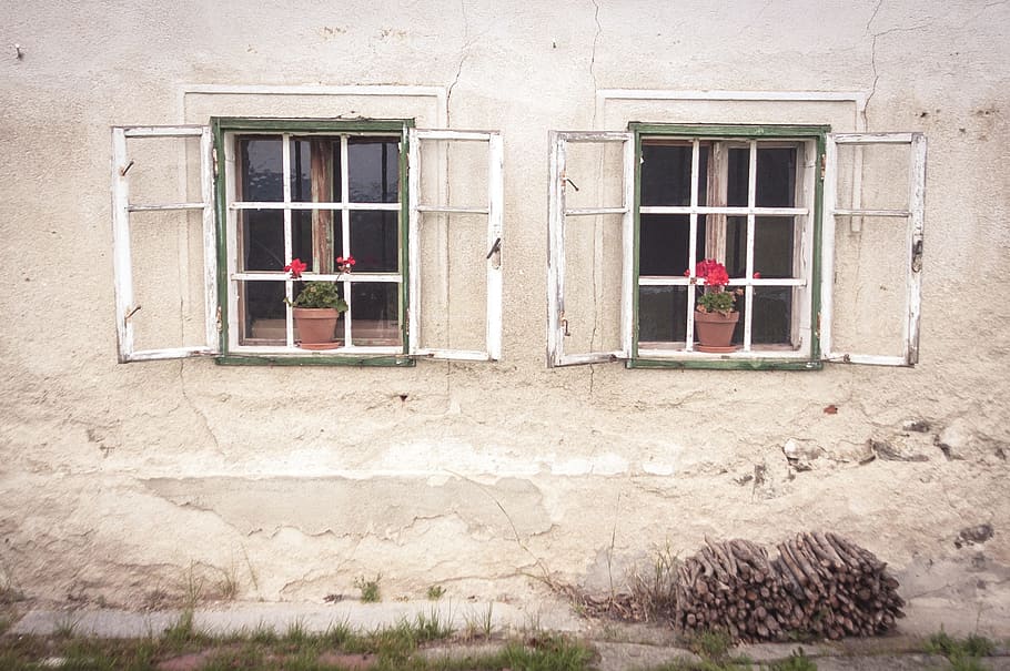 vecchio, finestra, fiori, facciata, vecchia finestra, storicamente, agriturismo, otturatore, azienda agricola, griglia, installare la finestra, costruzione, esterno dell'edificio, architettura, giorno, struttura costruita, nessuno, all'aperto, pianta, caratteristica della parete, Casa, natura, quartiere residenziale, Inquadratura dal basso, pianta in vaso, pianta fiorita, fiore, luce del sole, vetro - materiale, Colore bianco, 2K