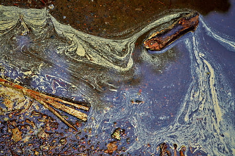 water, regen, reflectie, plons, nat, spatten, macro, aqua, transparant, geen mensen, detailopname, natuur, dag, dier, buitenshuis, hoge hoekmening, land-, één dier, dierlijke thema's, patroon, getextureerde, reptiel, boomstam, dierenleven, gewerveld, natuurlijk patroon, dierenkop, 4K, CC0, publiek domein, royaltyvrij