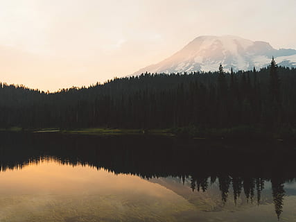 fyrretræer, omgivet, legeme, vand spejl refleksion fotografering, vand, afspejling, træer, dagtimerne, landskab, sø, Skov, bjerg, træ, PNW, Amerika, USA, mount, spids, sne, varm, Sky, himmel, skønhed i naturen, scenics - natur, rolig scene, plante, ro, ikke-urbane scene, ingen mennesker, natur, idyllisk, havnefronten, vækst, jord, fyrretræ, refleksions søen, nåletræ, 5K, CC0, offentligt domæne, royaltyfrie