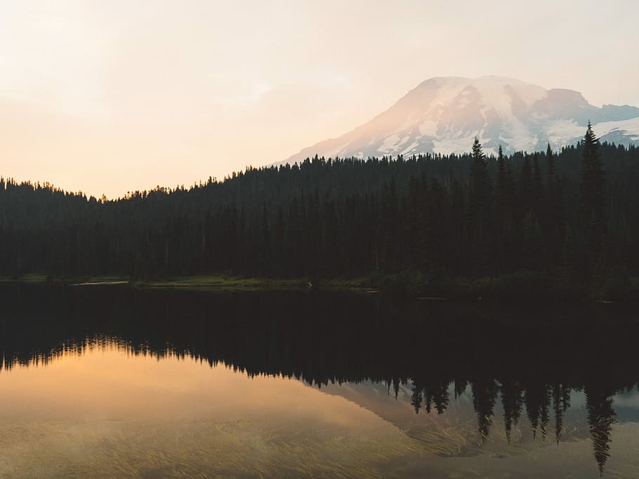 fyrretræer, omgivet, legeme, vand spejl refleksion fotografering, vand, afspejling, træer, dagtimerne, landskab, sø, Skov, bjerg, træ, PNW, Amerika, USA, mount, spids, sne, varm, Sky, himmel, skønhed i naturen, scenics - natur, rolig scene, plante, ro, ikke-urbane scene, ingen mennesker, natur, idyllisk, havnefronten, vækst, jord, fyrretræ, refleksions søen, nåletræ, 5K