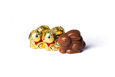 conill de xocolata, dos, embolicat, conills de xocolata, Pasqua, xocolata, oster, conill de Pasqua, primavera, llebre, figura, caramels, Feliç Pasqua, tracy, conill, tema de pasqua, marró, despertar de primavera, conill d'or, or, daurat, vermell, fons blanc, tir de l'estudi, còpia espai, a l'interior, primer pla, tallar, part del cos humà, fauna animal, mà humana, color daurat, un animal, representació, una persona, joieria, vertebrats, 5K, CC0, domini públic, lliure de regalies