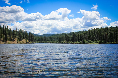 lac, vedere, pini, nori, natură, apă, peisaj, cer, turism, călătorie, Munte, decor, concediu de odihna, albastru, însorit, pitoresc, liniştit, în aer liber, rural, scenă, pădure, natural, parc, micuță refugiu pentru animale sălbatice, sălbăticie refugiu, Washington, ne, copac, nor - cer, scenice - natura, frumusețe în natură, o scenă liniștită, liniște, plantă, zi, nici o persoana, malul mării, scenă non-urbană, idilic, teren, Brad, pini de pădure, conifer, 5K, CC0, domeniu public, fără drepturi de autor