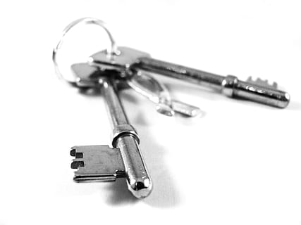 Due, chiavi di scheletro d'argento, bianca, superficie, argento, chiavi di scheletro, superficie bianca, chiavi, sicurezza, serratura, sbloccare, sicuro, Casa, accesso, metallico, proprietà, sfondo bianco, argento - metallo, nessuno, girato in studio, avvicinamento, metallo, in casa, chiave, singolo oggetto, natura morta, portachiavi, attrezzatura, ritagliare, copia spazio, strumento musicale, concentrarsi sulle conoscenze acquisite, protezione, vista dall'alto, musica, color argento, 2K, CC0, dominio pubblico, privo di copyright