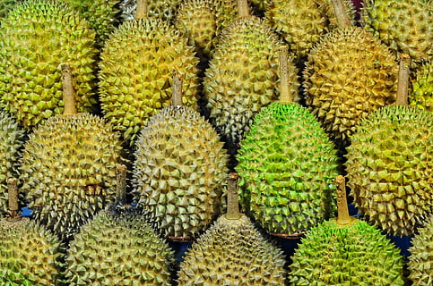 Durian Früchte, Durian Frucht, Muster, Durian, Obst, Grün, Gelb, grüne Farbe, Kaktus, Sukkulente, Essen und Trinken, Frische, keine Leute, Wachstum, gesundes Essen, Lebensmittel, Tropische Frucht, Vollbild, Pflanze, Hintergründe, Dorn, große gruppe von gegenständen, versetzt, Fülle, Scharf, Nahansicht, draußen, 2K, CC0, gemeinfrei, lizenzfrei