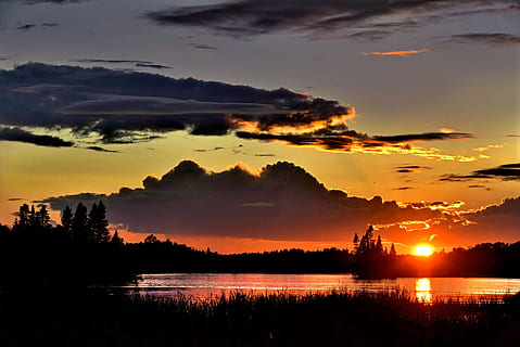 siluetas, medžiai, aukso, valandą, saulėlydis, Twilight, dangus, debesys, šviesa, ežeras, vakare, vanduo, gulėti, québec, Kanada, debesis - dangus, grožis gamtoje, vaizdai - gamta, ramioje scenoje, ramybė, atspindys, pobūdį, oranžinė spalva, medis, augalų, aplinką, idiliškas, dramatiškas dangus, nėra žmonių, saulė, lauke, tamsus, 5K, CC0, Viešasis domenas, nemokamai