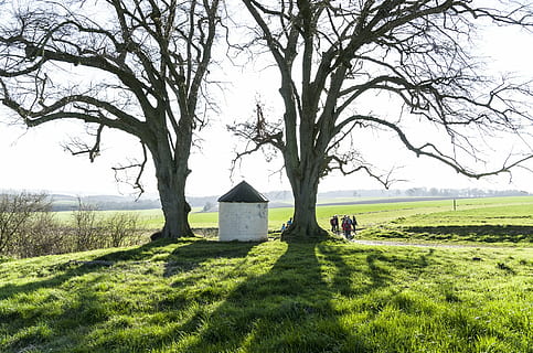 Kapelle, condroz, Bäume, Pflanze, Gras, Baum, Land, Natur, grüne Farbe, Feld, Tag, Grab, die Architektur, Himmel, gebaute Struktur, Landschaft, Religion, Friedhof, Grabstein, Wachstum, Ast, draußen, keine Leute, 1080P, CC0, gemeinfrei, lizenzfrei