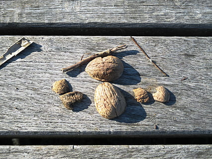 gusci di noce, Noci, noccioline, banca, intemperie, legna, divario, grigio, Marrone, legno - materiale, luce del sole, giorno, nessuno, natura, vista dall'alto, strutturato, all'aperto, natura morta, avvicinamento, ombra, tavolo, cibo e bevande, Noce, molo, benessere, cibo, dado - cibo, freschezza, acqua, 4K, CC0, dominio pubblico, privo di copyright