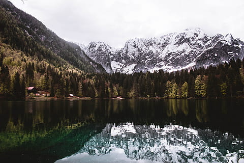 lago de vida, cuerpo, agua, rodeado, arboles, tiempo de día, lago, vida, montaña, bosque, reflexión, naturaleza, paisaje, scenics, árbol, al aire libre, cordillera, Canadá, alberta, montañas Rocosas, nadie, belleza en la naturaleza, cielo, escena tranquila, imagen en color, parque nacional de banff, nieve, paisajes - naturaleza, temperatura fría, invierno, tranquilidad, planta, idílico, Montaña cubierta de nieve, árbol conífero, 5K, CC0, dominio público, libre de derechos