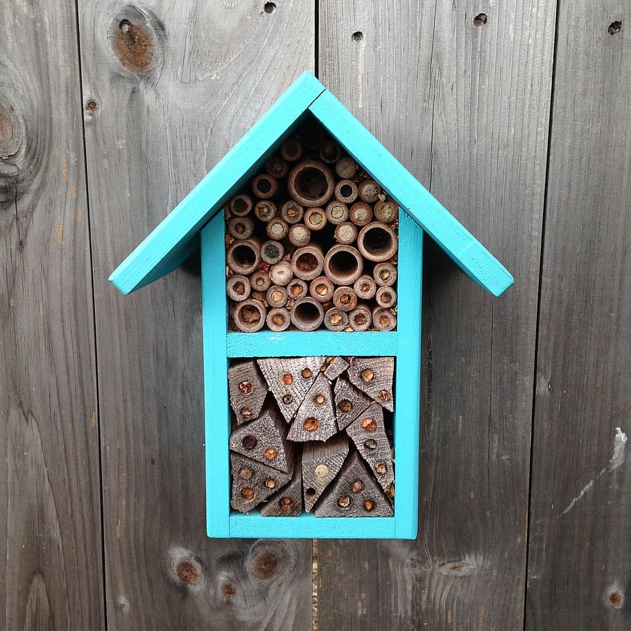 api, impollinatori, casa delle api, impollinare, impollinazione, giardino, natura, insetto, legno - materiale, nessuno, avvicinamento, giorno, girato in studio, in casa, direttamente sopra, legna, tavolo, grande gruppo di oggetti, natura morta, forma, vista dall'alto, design, forma geometrica, scelta, variazione, arte e artigianato, cibo e bevande, mestiere, creatività, 1080P