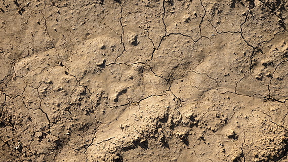 crack brown soil, background, texture, cracks, soil, ground, drought, mud, design, layer, grunge, weathered, pattern, surface, dirt, fracture, grime, rusty, damaged, backgrounds, textured, cracked, full frame, no people, climate, land, nature, environment, day, dry, textured effect, close-up, barren, dirty, arid climate, outdoors, abstract, abstract backgrounds, 5K, CC0, public domain, royalty free