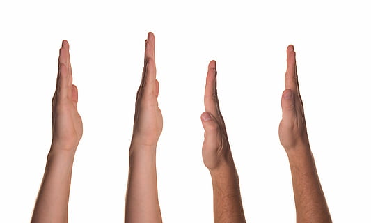 foto, vier, handen, leren, groeten, gids, helpen, lood, overhandigen, portie, presentatie, offer, keuze, verheven, deelname, golvend, menselijk lichaamsdeel, lichaamsdeel, menselijke hand, lidmaat, menselijke ledemaat, hand-, menselijke arm, uitknippen, studio opname, witte achtergrond, groep mensen, gebaren, volwassen, opgeheven armen, handteken, hand omhoog, mensen, samenspel, positieve emotie, vinger, 8K, CC0, publiek domein, royaltyvrij
