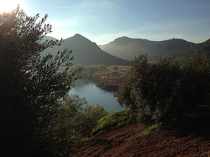 daggry, baggrundsbelysning, malaga, bjerg, træ, scenics - natur, skønhed i naturen, vand, plante, ro, himmel, rolig scene, sø, natur, ikke-urbane scene, ingen mennesker, bjergkæde, miljø, landskab, jord, vækst, idyllisk, udendørs, 1080P, CC0, offentligt domæne, royaltyfrie