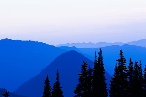silhuett bilde, furutre, skyet, himmel, silhouette, trær, fjell, dag, blå, skygge, mørk, skyer, natur, tre, skog, ingen folk, scenics, landskap, naturskjønnhet - natur, skjønnhet i naturen, fjellkjede, rolig scene, anlegg, miljø, ikke-urbane scene, ro, land, idylliske, fjern, nåletre, utendørs, fjelltopp, furuskog, 1080P, CC0, offentlig domene, opphavsrett gratis