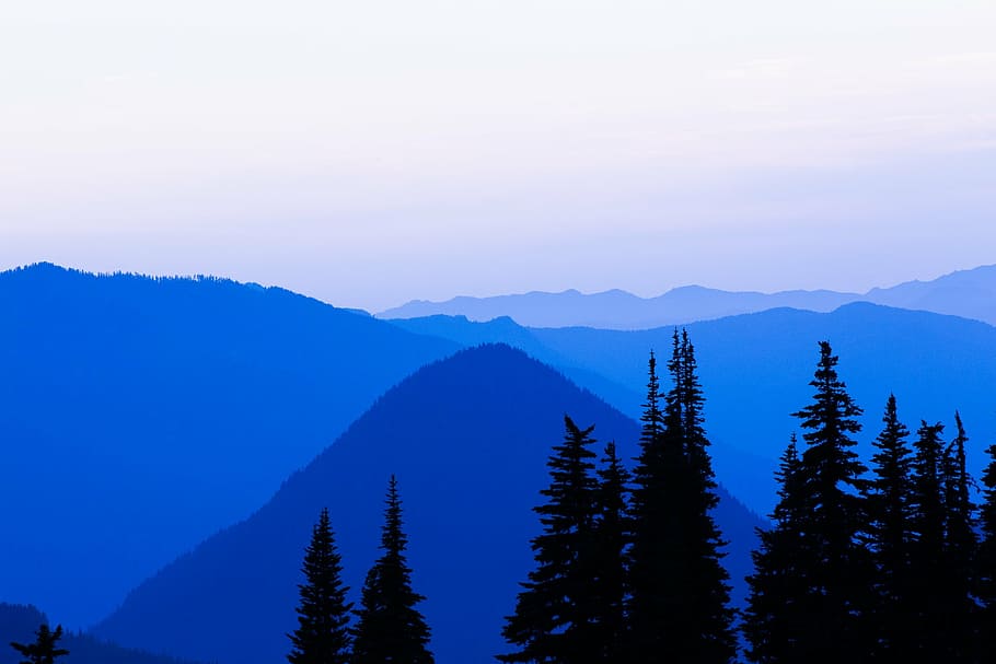foto de la silueta, pi, ennuvolat, cel, silueta, arbres, muntanya, dia, blau, ombra, fosc, núvols, naturalesa, arbre, bosc, cap gent, escenics, paisatge, escenics - natura, bellesa a la natura, Serra, escena tranquil·la, planta, medi ambient, escena no urbana, tranquil·litat, terra, idíl·lic, remot, arbre de coníferes, a l'aire lliure, cim de muntanya, bosc de pi, 1080P
