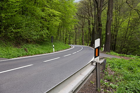 messaggi delineatore, strada, traffico, albero, foresta, mezzi di trasporto, all'aperto, nessuno, colore verde, natura, segnale stradale, giorno, pianta, cartello, simbolo, terra, segnaletica stradale, marcatura, direzione, strada vuota, la strada davanti, crescita, scena non urbana, bellezza nella natura, 5K, CC0, dominio pubblico, privo di copyright