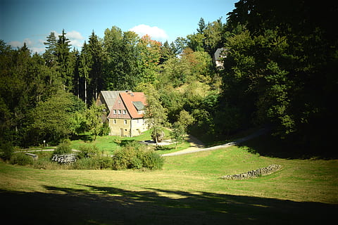 hjem, natur, skog, waldhusche, saxon switzerland, idyll, gå, skoghus, anlegg, tre, grønn farge, arkitektur, gress, vekst, bygget struktur, dag, sollys, bygge eksteriør, sport, ingen folk, himmel, skygge, utendørs, land, bygning, ro, gangsti, 5K, CC0, offentlig domene, opphavsrett gratis