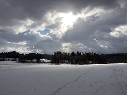 Wolken, Schnee, Wald, Stimmung, Lichtblick, eggasse, Winter, wolke - himmel, Himmel, Baum, kalte Temperatur, Pflanze, Umgebung, Natur, Szenen - Natur, keine Leute, Landschaft, Ruhe, Schönheit in der Natur, ruhige Szene, Land, weiße Farbe, bedeckt, Sturm, schneit, 4K, CC0, gemeinfrei, lizenzfrei