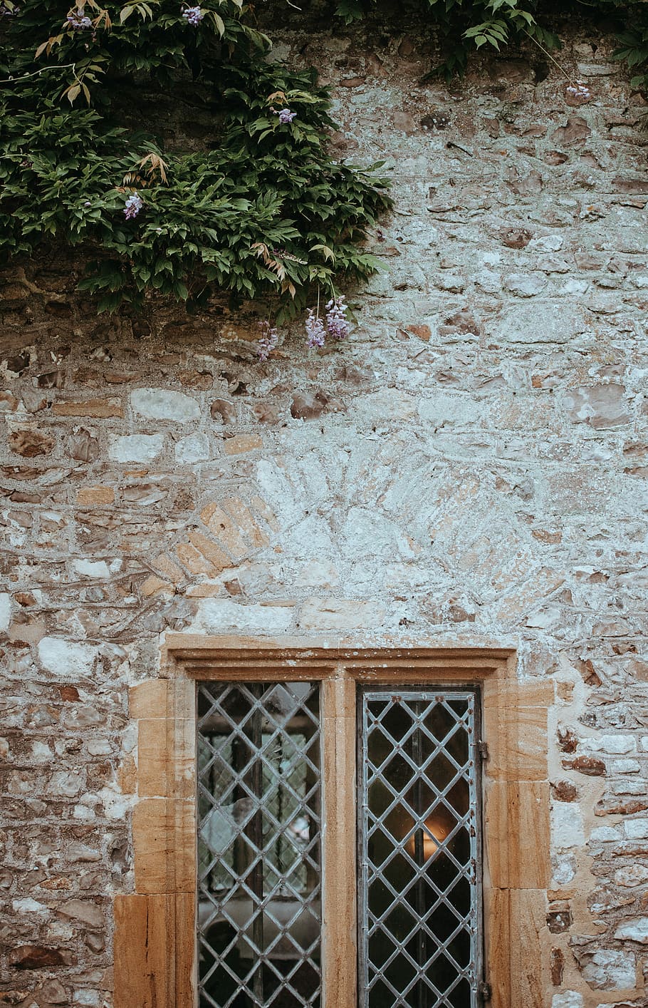 forde abbey, paret de maó marró, paret, finestra, flors, marc, vell, maons, estructura construïda, arquitectura, planta, cap gent, funció de construcció de parets, dia, edifici, exterior de l'edifici, casa, porta, entrada, creixement, naturalesa, tancat, material de fusta, seguretat, a l'aire lliure, paret de pedra, 4K