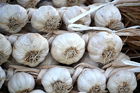 knoflook, wit, groenten, eten en drinken, voedsel, gezond eten, versheid, welzijn, groente, ingrediënt, stilleven, knoflookbol, kruid, geen mensen, volledig kader, detailopname, grote groep objecten, markt, achtergronden, kleinhandel, te koop, overvloed, 4K, CC0, publiek domein, royaltyvrij