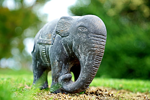 elephant, strength, charge, attack, wild, bulk, strong, decorative, animal, animal themes, animal wildlife, one animal, mammal, no people, animal body part, focus on foreground, animals in the wild, grass, nature, close-up, plant, art and craft, outdoors, day, sculpture, vertebrate, travel destinations, animal representation, animal head, 4K, CC0, public domain, royalty free