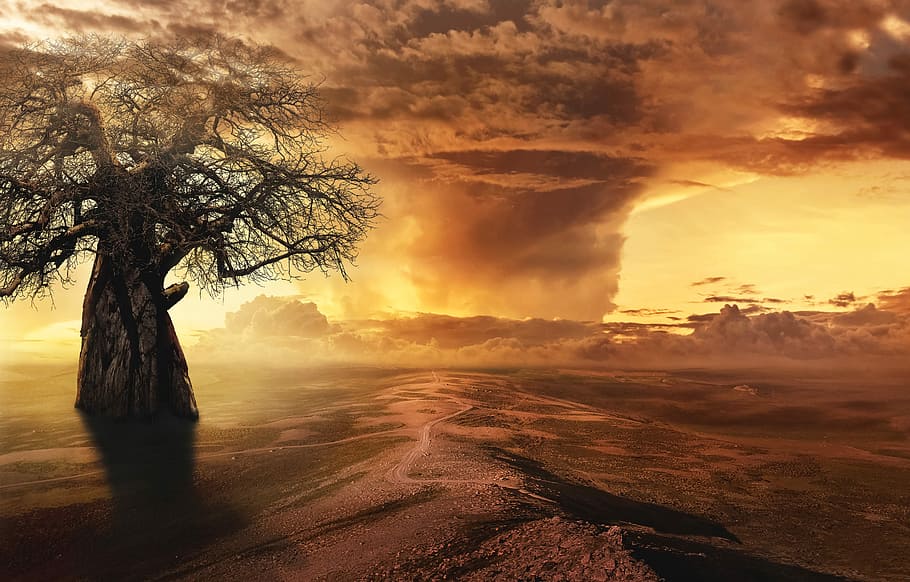 bare, tree, smoke illustration, fantasy, landscape, clouds, desert landscape, baobab, aesthetic, tribe, african tree, nature, twilight, lighting, wide, loneliness, silent, rest, epic, mood, emotion, composing, sunrise, sunset, iceland, desert, background image, beauty in nature, sky, cloud - sky, scenics - nature, environment, tranquility, tranquil scene, land, plant, sunlight, no people, idyllic, sunbeam, non-urban scene, water, outdoors, 5K