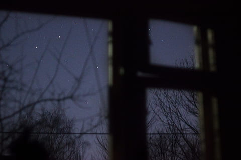 Foto, blattlose Bäume, schwarz, hölzern, Fensterzaun, schlaflose Nächte, Nacht-, Licht, Rahmen, Fenster, gruslig, dunkel, Grusel, verlassen, keine Leute, die Architektur, kahler Baum, drinnen, Natur, Baum, Silhouette, Himmel, Pflanze, Stern - Raum, beleuchtet, Wasser, Ast, Geheimnis, Glas - Material, Schatten, Dämmerung, 5K, CC0, gemeinfrei, lizenzfrei