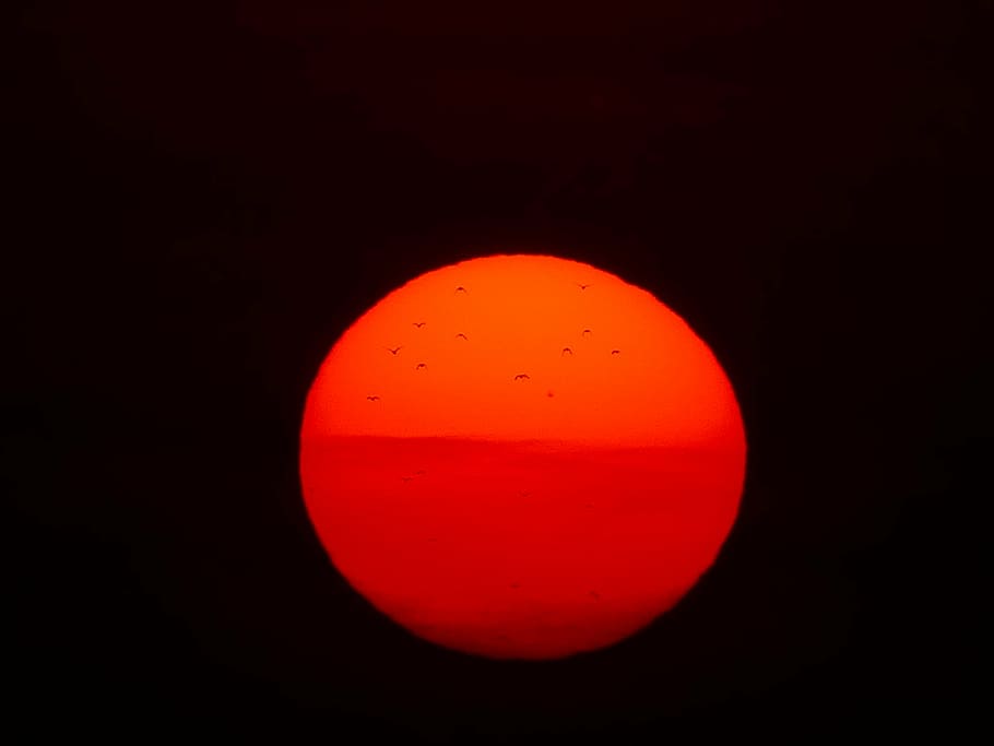 sol, bola de foc, ocells, vermell, posta de sol, naturalesa, disc solar, calor, cegament, tarda, menjar, cercle, espai, forma geomètrica, cap gent, fons negre, sol objecte, astronomia, forma, cel, primer pla, ciència, a l'interior, nit, tir de l'estudi, longitud completa, 4K