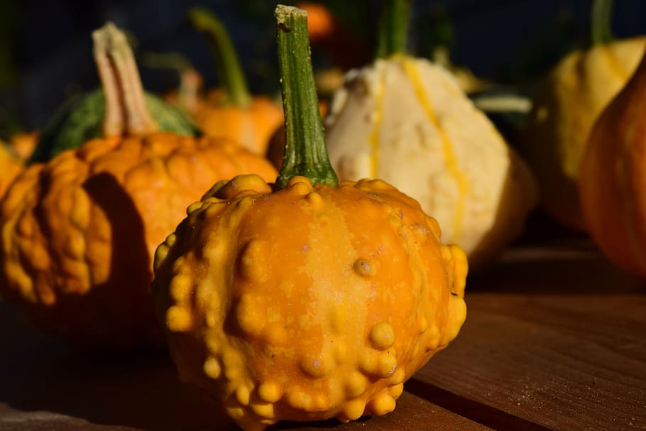 dekorative squashes, græskar, gul, smuk, efterår, sene sommer, dekoration, landdistrikterne, landbrug, høst, ornament, halloween, mad og drikke, mad, friskhed, sund kost, grøntsag, velvære, ingen mennesker, fokus på forgrunden, tæt på, træ - materiale, stilleben, orange farve, frugt, indendørs, bord, squash - grøntsag, gruppe af objekter, dag, 5K