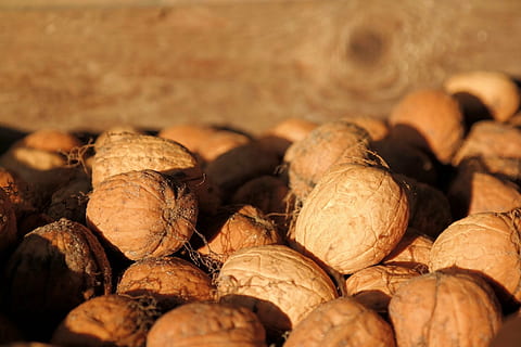 nueces, ladrar, cosecha, otoño, marrón, comida, de cerca, antecedentes, semilla, comida y bebida, abundancia, bienestar, alimentación saludable, frescura, nuez, nuez - comida, nadie, gran grupo de objetos, fotograma completo, enfoque selectivo, naturaleza muerta, grupo de objetos, adentro, cáscara de nuez, 1080P, CC0, dominio público, libre de derechos