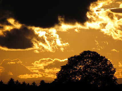 abendstimmung, clouds, sunset, nature, dusk, sky, sun, outdoors, sunlight, summer, orange Color, beauty in nature, cloud - sky, tree, scenics - nature, plant, silhouette, no people, tranquility, tranquil scene, dramatic sky, low angle view, idyllic, yellow, dark, 4K, CC0, public domain, royalty free