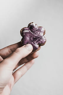 persoon, bezit, gebakken, koekje, persoon met cookie, biscuit, suikerglazuur, hand-, menselijke hand, menselijk lichaamsdeel, een persoon, binnenshuis, studio opname, detailopname, vinger, lichaamsdeel, onherkenbaar persoon, witte achtergrond, menselijke vinger, levensstijlen, echte mensen, persoonlijk perspectief, kopie ruimte, versheid, zoet eten, verleiding, 5K, CC0, publiek domein, royaltyvrij