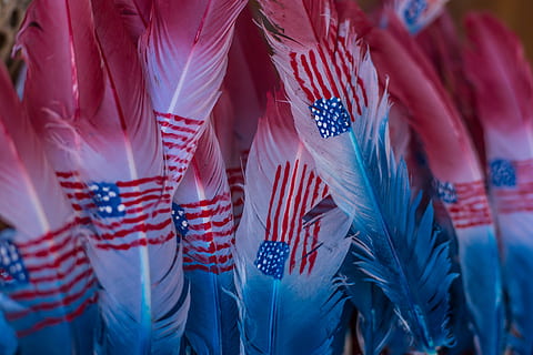Vereinigte Staaten von Amerika., Flagge, Gefieder, Weiß, rot, Federlos, rote Feder, Menge, Feder, mehrfarbig, indigene Kultur, Kulturen, Nahansicht, menschliches Körperteil, drinnen, Tag, Menschen, selektiver Fokus, keine Leute, Wachstum, Muster, Vollbild, Hintergründe, pinke Farbe, Veranstaltung, Feier, Natur, 5K, CC0, gemeinfrei, lizenzfrei