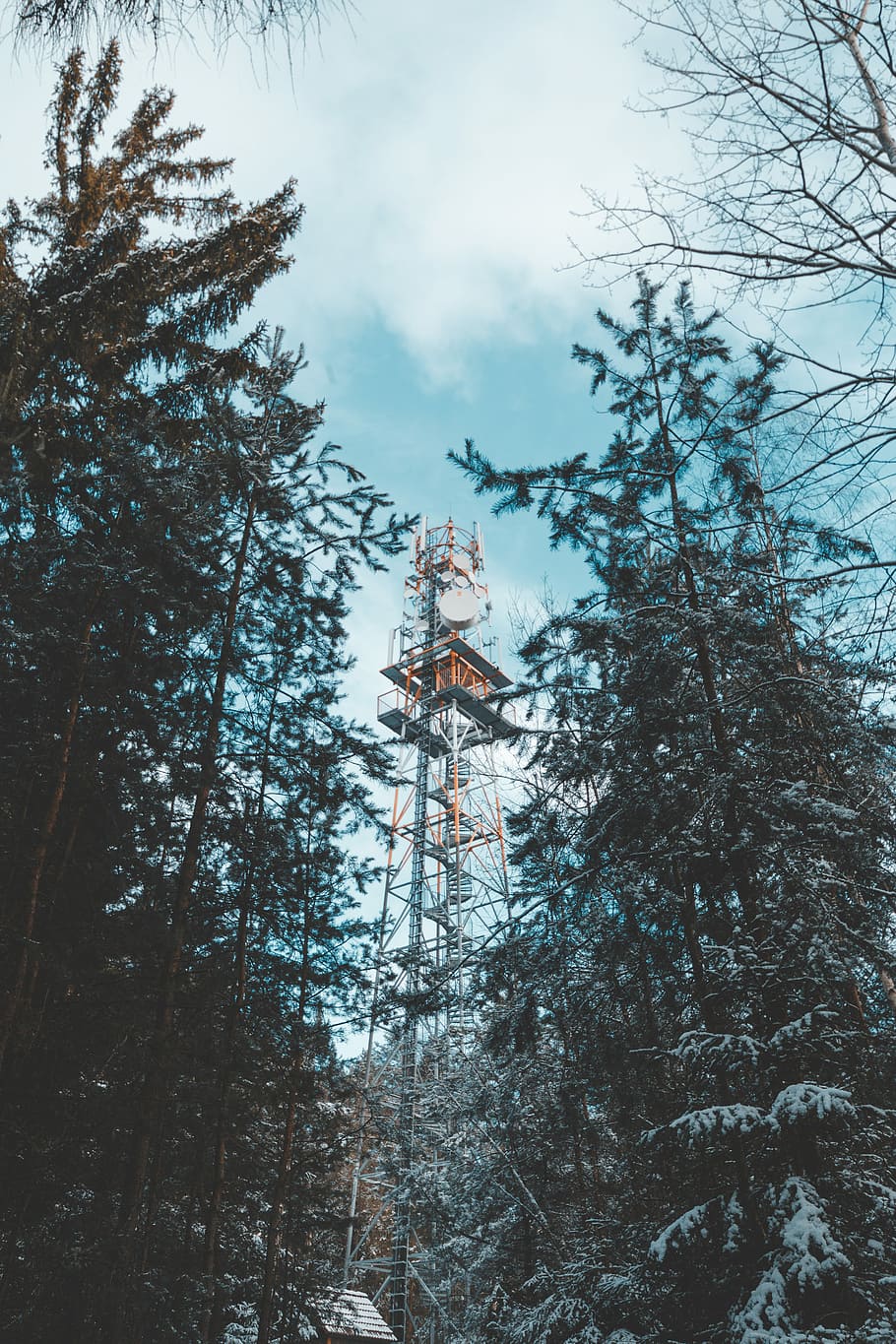 grüne Bäume, Wald, Baum, Turm, Satellit, Stahlturm, Flachwinkelansicht, Pflanze, Himmel, Natur, keine Leute, Tag, große Höhe, draußen, die Architektur, Freizeitpark Achterbahn, Ast, Vergnügungspark, Kunst, Kultur und Unterhaltung, gebaute Struktur, wolke - himmel, Wachstum, 5K