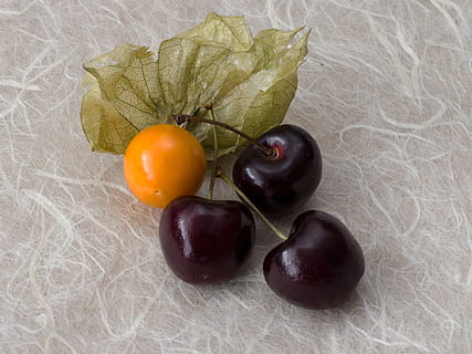 třešní, physalis, makro, jídlo, ovoce, jídlo a pití, Zdravé stravování, svěžest, blahobyt, stálý život, nikdo, uvnitř, třešeň, detail, stůl, vysoký úhel pohledu, oranžová barva, zeleniny, oranžový, citrusové ovoce, pomeranč, rostlina, zralý, 2K, CC0, veřejná doména, bez autorských práv