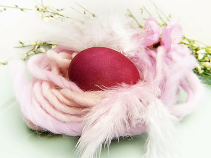 vermell, ou, cobert, rosa, corda, niu de Pasqua, llana, niu, color, ous de tints, colors de la natura, bio, primavera, Pasqua, decoració, tema de pasqua, decoració de pasqua, producte natural deco, Feliç Pasqua, Nadal, celebració, festa, temporada, primer pla, color rosa, a l'interior, planta, planta amb flors, flor, cap gent, tir de l'estudi, natura morta, naturalesa, menjar, vacances - esdeveniment, enfocament selectiu, Color blanc, suavitat, 4K, CC0, domini públic, lliure de regalies