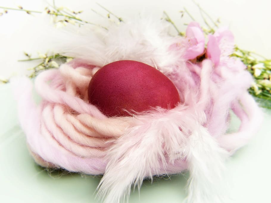 vermell, ou, cobert, rosa, corda, niu de Pasqua, llana, niu, color, ous de tints, colors de la natura, bio, primavera, Pasqua, decoració, tema de pasqua, decoració de pasqua, producte natural deco, Feliç Pasqua, Nadal, celebració, festa, temporada, primer pla, color rosa, a l'interior, planta, planta amb flors, flor, cap gent, tir de l'estudi, natura morta, naturalesa, menjar, vacances - esdeveniment, enfocament selectiu, Color blanc, suavitat, 4K