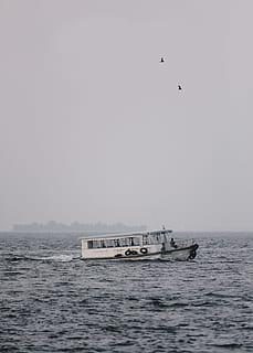 passagiersboot, bewolkt, dag, wit, groenblauw vaartuig, lichaam, water, grijs, hemel, reis, zee, nautisch schip, Turkije - Midden-Oosten, vervoer, Istanbul, bosphorus, buitenshuis, wijze van transport, waterkant, natuur, scenics - natuur, heldere lucht, gewerveld, schoonheid in de natuur, dierlijke thema's, vogel, vliegend, geen mensen, horizon over water, horizon, zeilboot, 4K, CC0, publiek domein, royaltyvrij