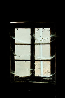 finestra, partire, architettura, entro, sporco, casa, un, bicchiere, buio, vuoto, vecchio, antico, collegamento, look retrò, rovinare, vicino, inutilizzabile, spazio, in casa, abbandonato, vetro - materiale, nessuno, trasparente, costruzione, avvicinamento, rotto, telaio della finestra, obsoleto, giorno, struttura costruita, riflessione, sicurezza, natura, chiuso, 5K, CC0, dominio pubblico, privo di copyright