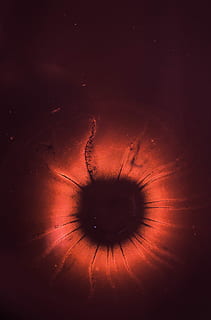 fotografia al microscopio, rosso, nero, microrganismo, illustrazione arte, modello, colore, scienza, struttura, astratto, turbine, occhio, sangue, sperimentare, microscopio, punto, luminosa, digitale, parte del corpo umano, una persona, parte del corpo, in casa, avvicinamento, girato in studio, mistero, emozione, occhio umano, ciglio, sfondi, natura, vista, acqua, macro, iride - occhio, bulbo oculare, 4K, CC0, dominio pubblico, privo di copyright