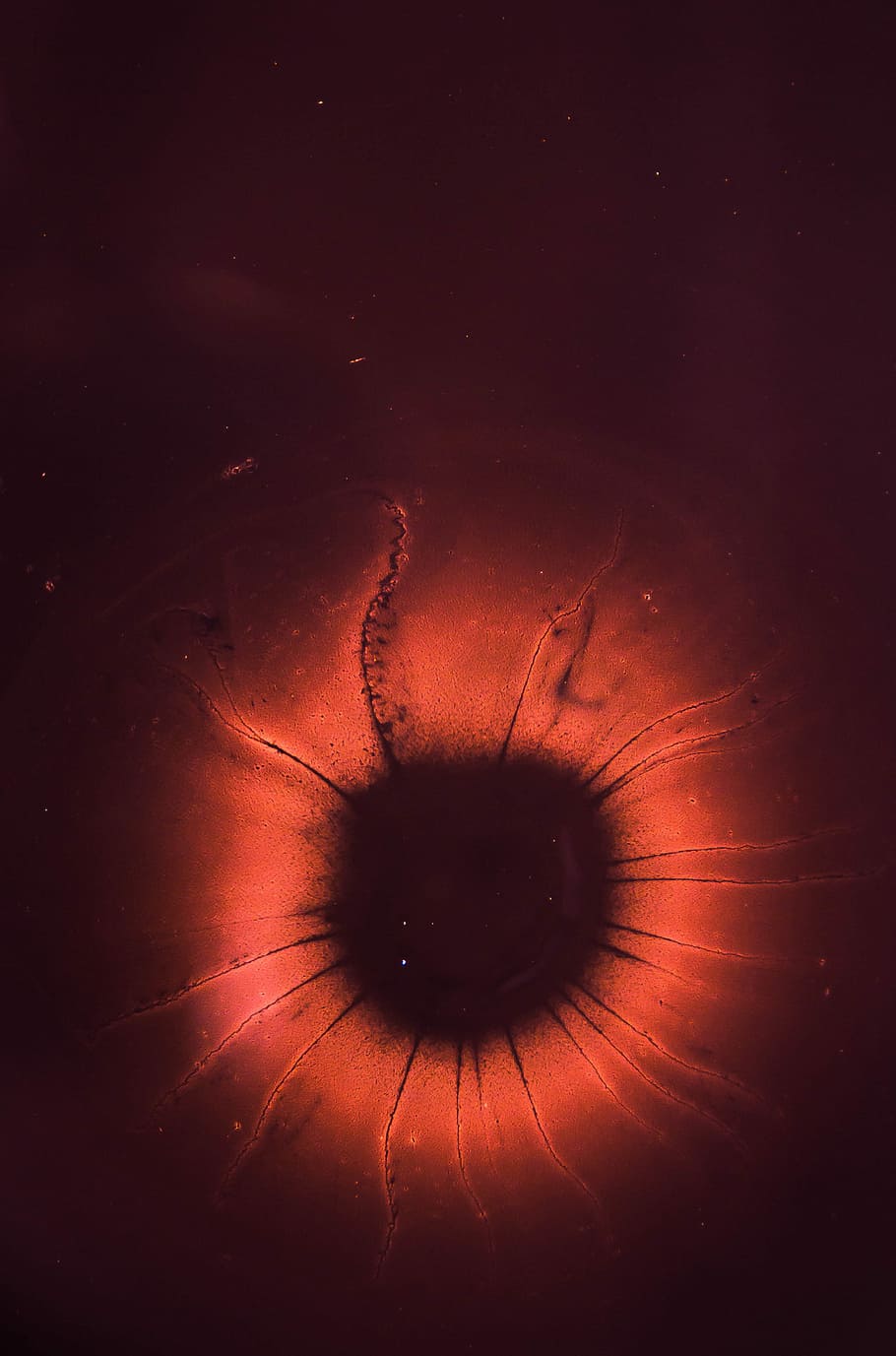 fotografia al microscopio, rosso, nero, microrganismo, illustrazione arte, modello, colore, scienza, struttura, astratto, turbine, occhio, sangue, sperimentare, microscopio, punto, luminosa, digitale, parte del corpo umano, una persona, parte del corpo, in casa, avvicinamento, girato in studio, mistero, emozione, occhio umano, ciglio, sfondi, natura, vista, acqua, macro, iride - occhio, bulbo oculare, 4K